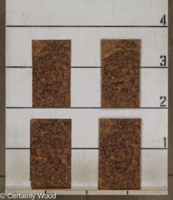 WAL_BURL_25004-01D_2