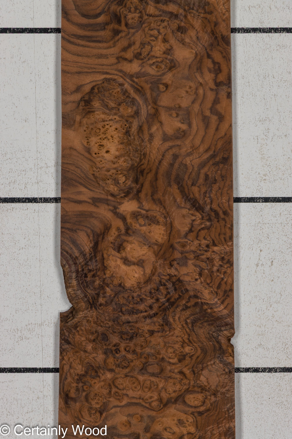 WAL_BURL_25004-02A_1