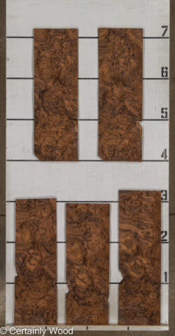 WAL_BURL_25004-02A_2