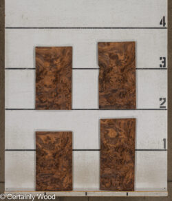 WAL_BURL_25004-02B_2