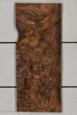 WAL_BURL_25004-02C_1