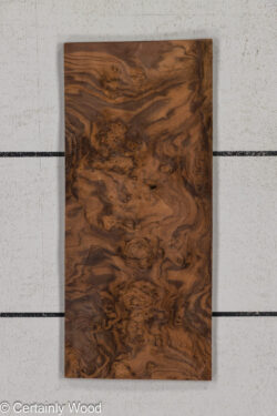 WAL_BURL_25004-02D_1