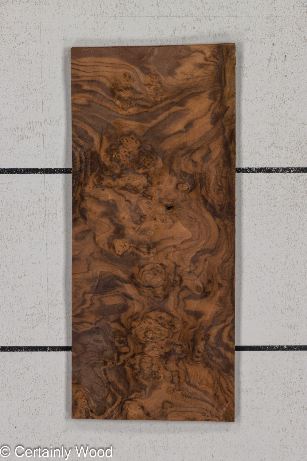 WAL_BURL_25004-02D_1