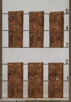 WAL_BURL_25004-02D_2