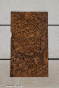 WAL_BURL_25004-04B_1