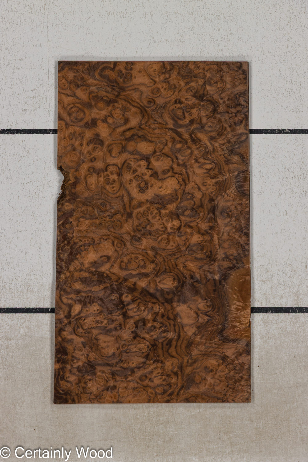 WAL_BURL_25004-04B_1