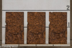 WAL_BURL_25004-04B_2