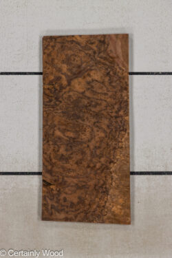 WAL_BURL_25004-06A_1