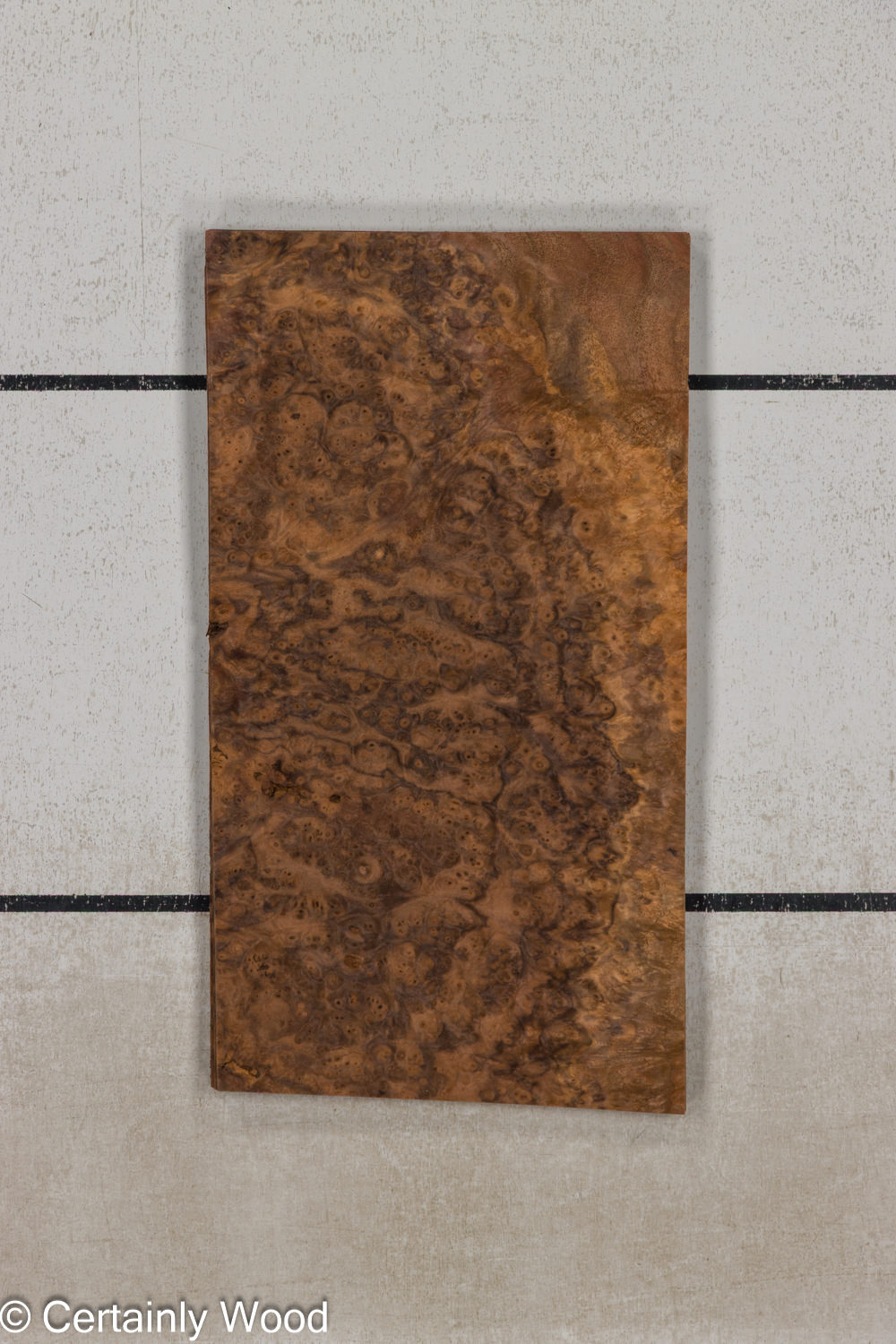 WAL_BURL_25004-06B_1