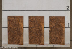 WAL_BURL_25004-06B_2