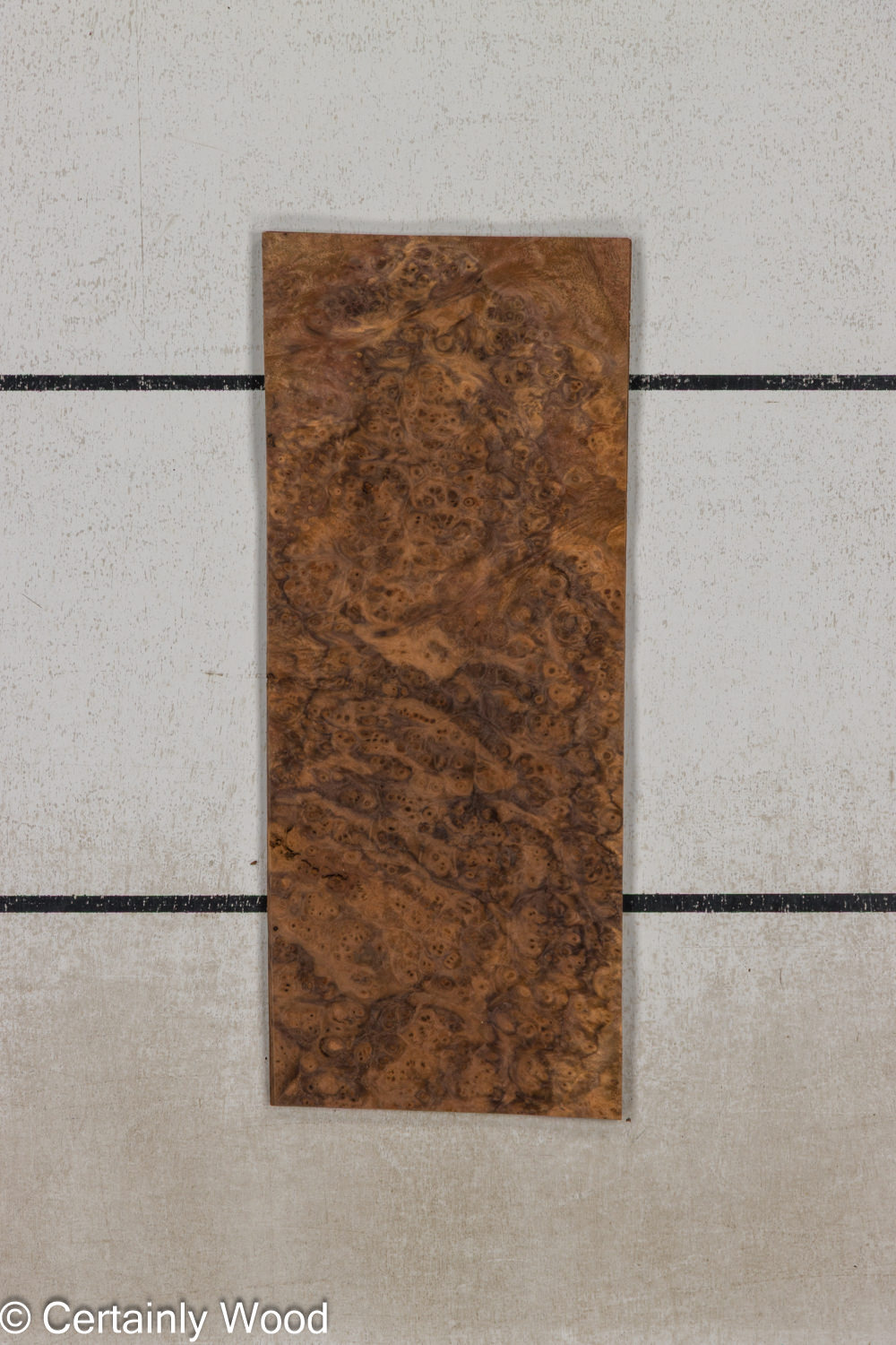 WAL_BURL_25004-06C_1