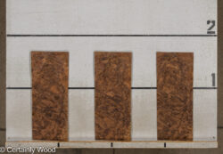 WAL_BURL_25004-06C_2