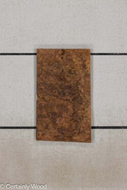 WAL_BURL_25004-06D_1