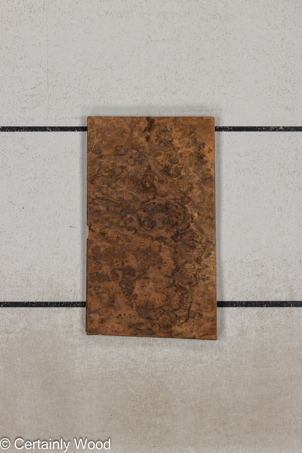 WAL_BURL_25004-06D_1