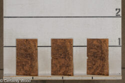 WAL_BURL_25004-06D_2