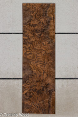 WAL_BURL_25004-08B_1