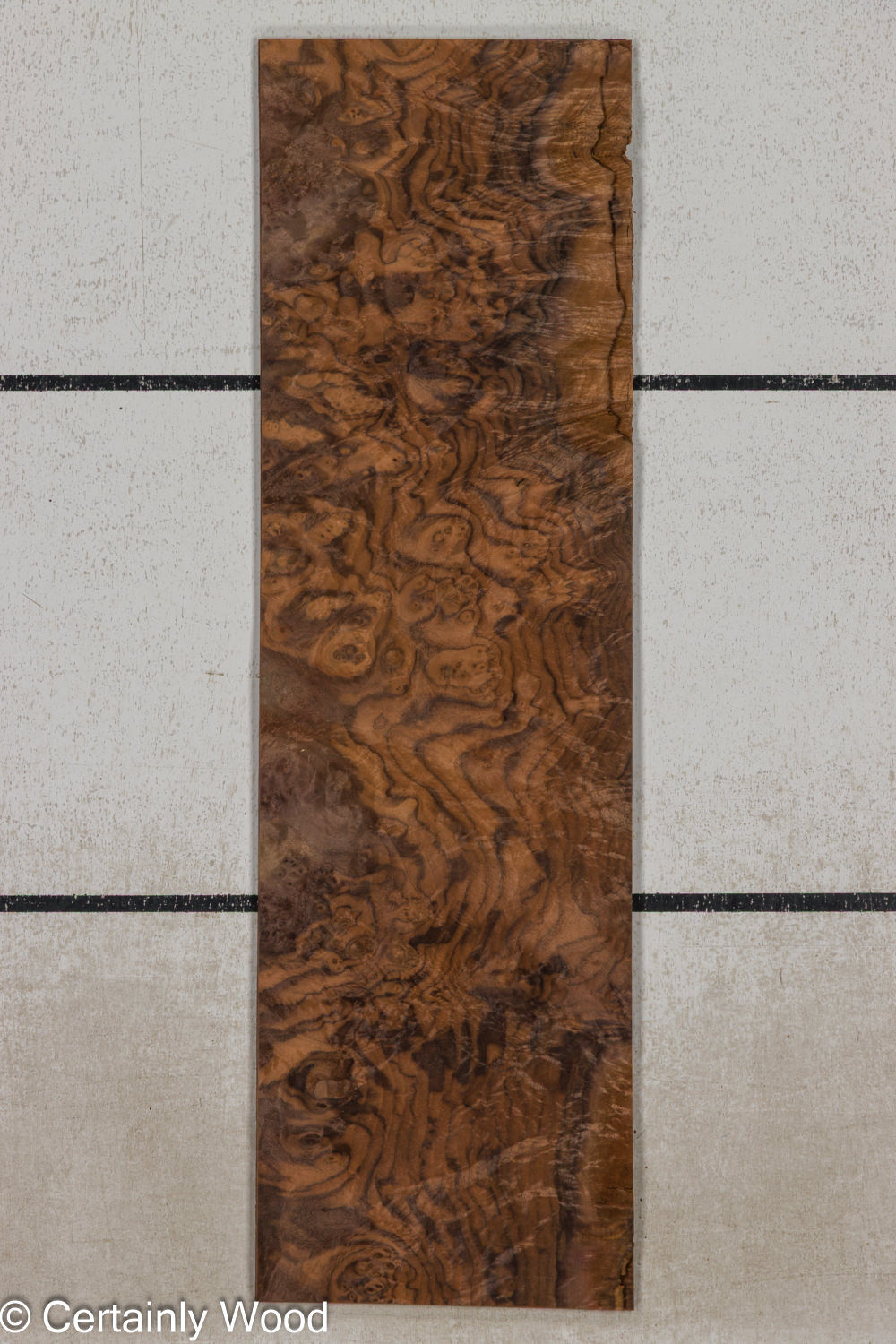 WAL_BURL_25004-08B_1