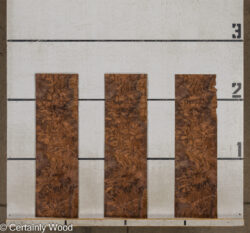 WAL_BURL_25004-08B_2