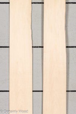 WS_16_MAPLE_26018-2D_1