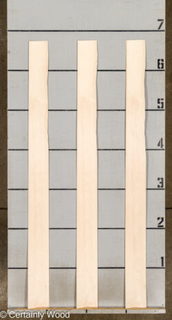 WS_16_MAPLE_26018-2D_2