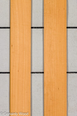 WS_FB_ANIGRE_709-1_1