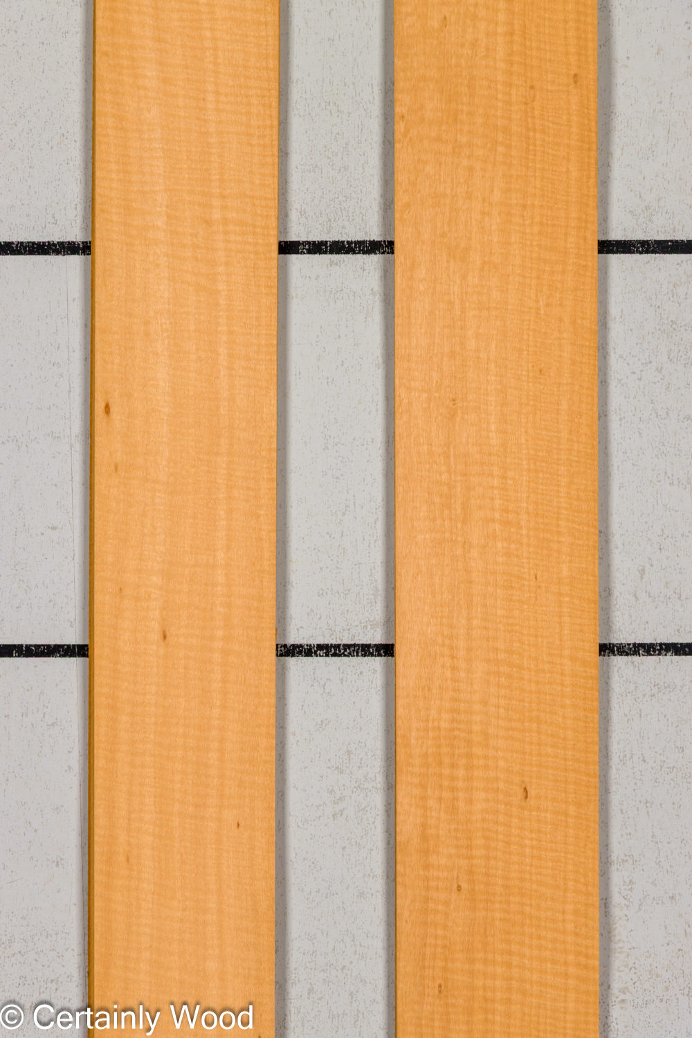 WS_FB_ANIGRE_709-1_1