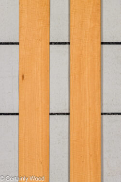 WS_FB_ANIGRE_709-2_1