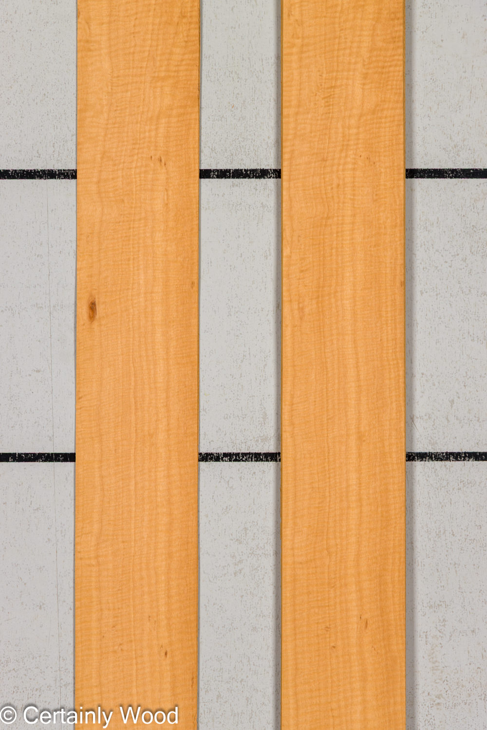 WS_FB_ANIGRE_709-2_1