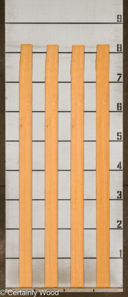 WS_FB_ANIGRE_709-2_2