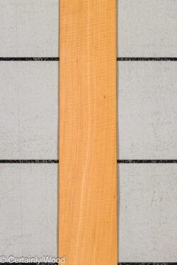 WS_FB_ANIGRE_709-3_1