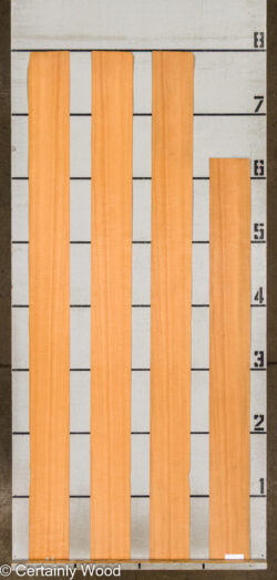 WS_FB_ANIGRE_709-4_2