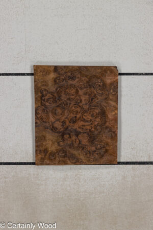 WS WAL BURL 25004-1E