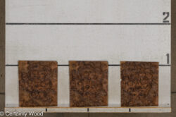 WS_WAL_BURL_25004-01E_2