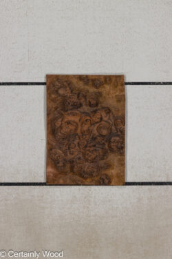 WS_WAL_BURL_25004-01F_1