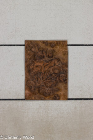 WS WAL BURL 25004-1F