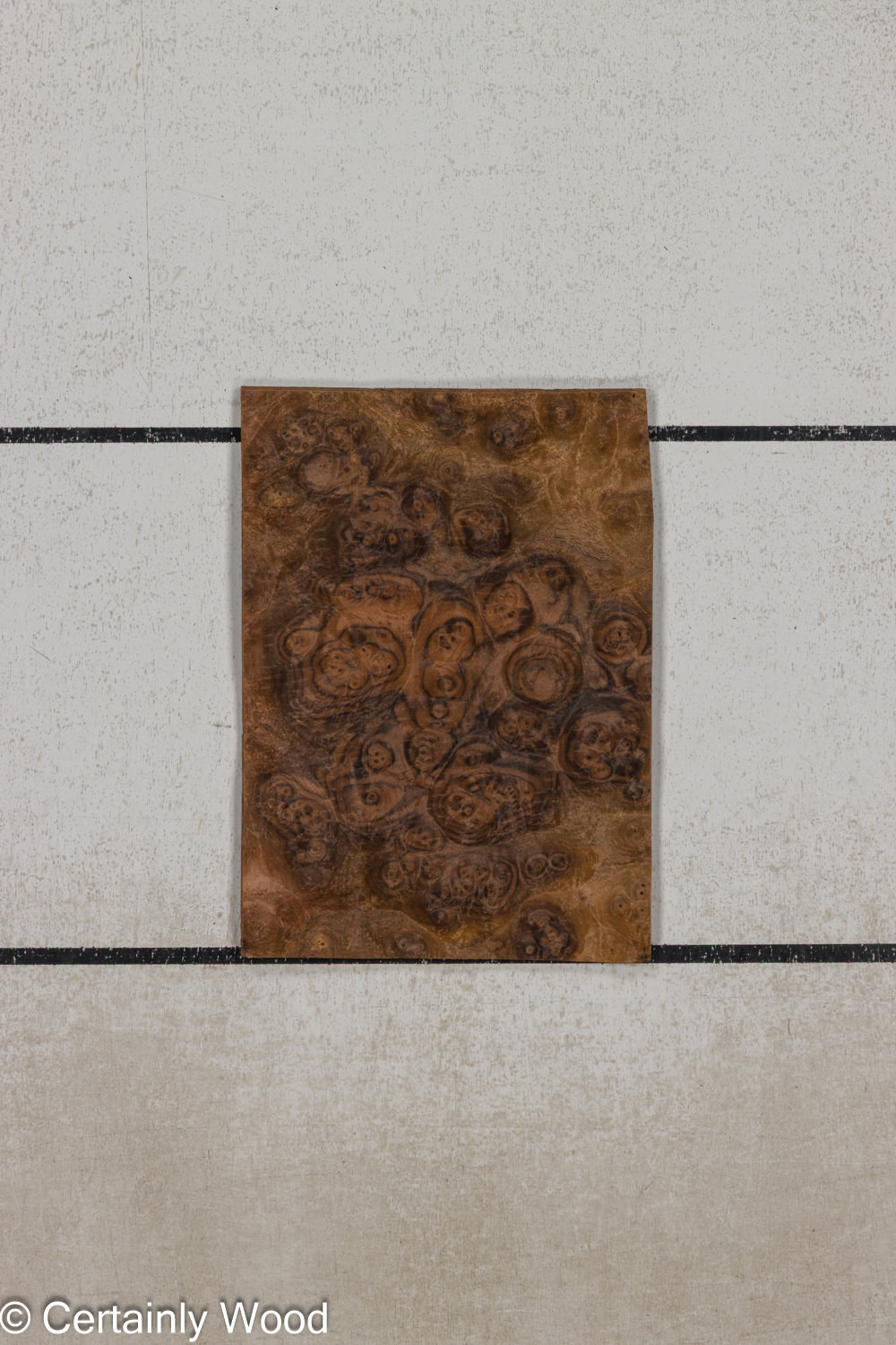 WS_WAL_BURL_25004-01F_1