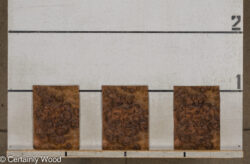 WS_WAL_BURL_25004-01F_2