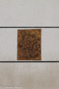 WS_WAL_BURL_25004-01G_1