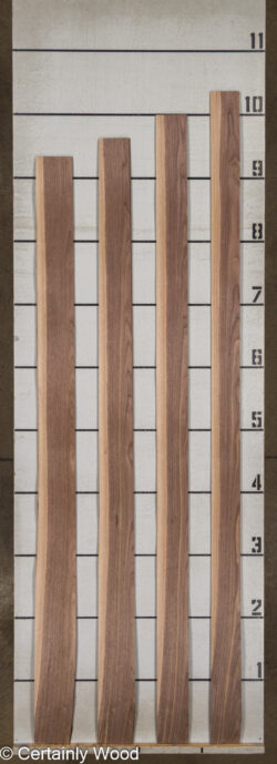 16_WALNUT_26133-2B_2