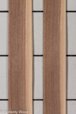 16_WALNUT_26133-2D_1