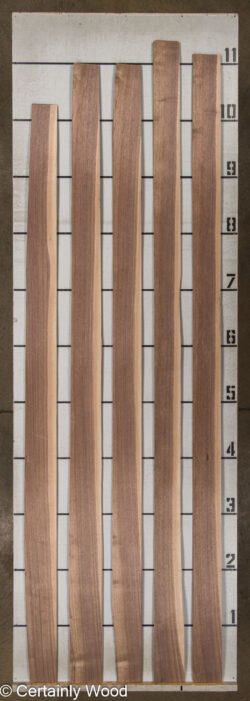 16_WALNUT_26133-2D_2