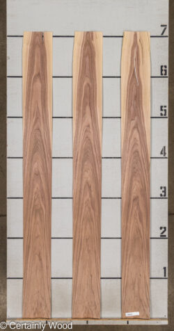 16_WALNUT_26134-1C_2