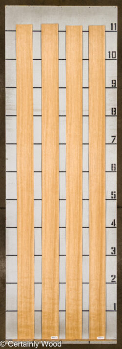 18_RF_OAK_26100-2B_2