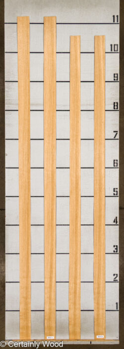 18_RF_OAK_26100-2C_2
