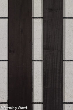 24_BLK_POP_26166-1_1