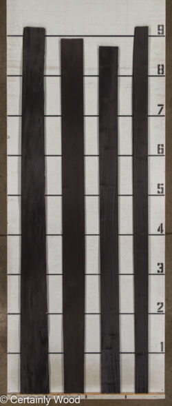 24_BLK_POP_26166-1_2