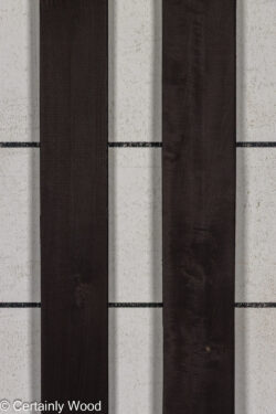 24_BLK_POP_26166-2_1