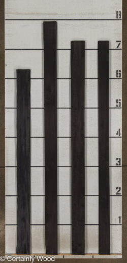 24_BLK_POP_26166-2_2