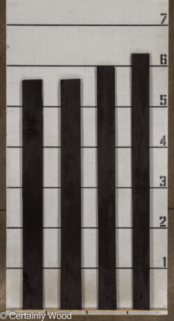 24_BLK_POP_26166-3_2