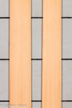 28_DOUG_FIR_25255-7_1